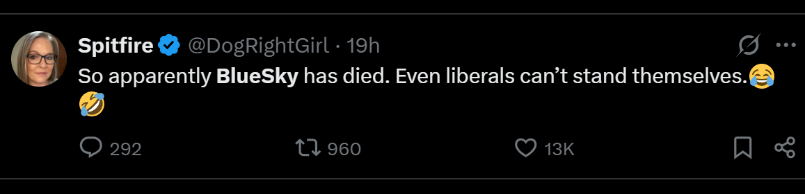 A screenshot of a post on Bluesky.