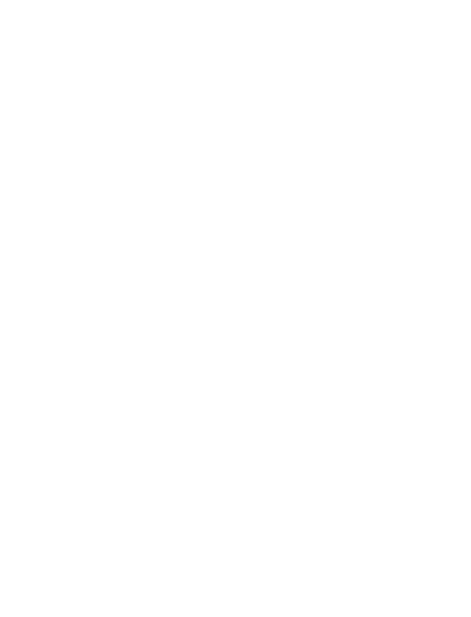 Distant Illusions Logo
